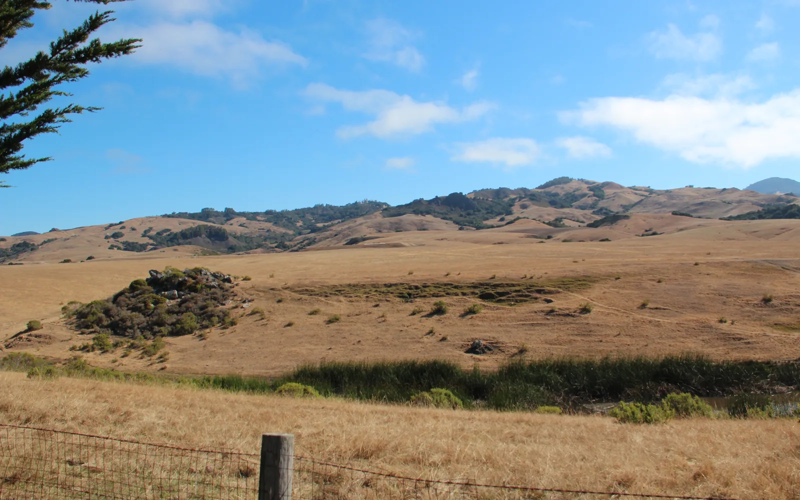 Landscape around San Simeon, San Luis Obispo County
